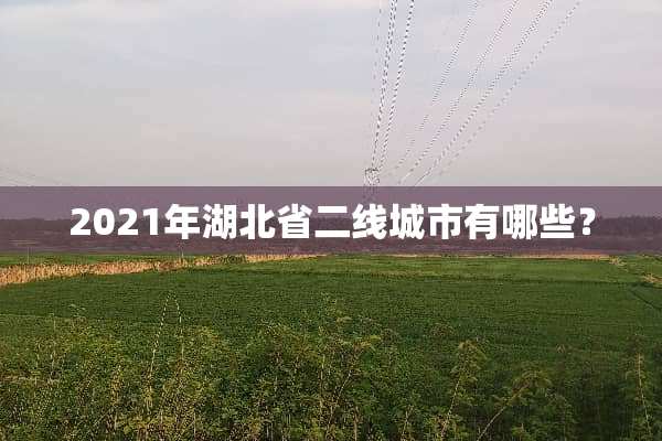 2021年湖北省二线城市有哪些？