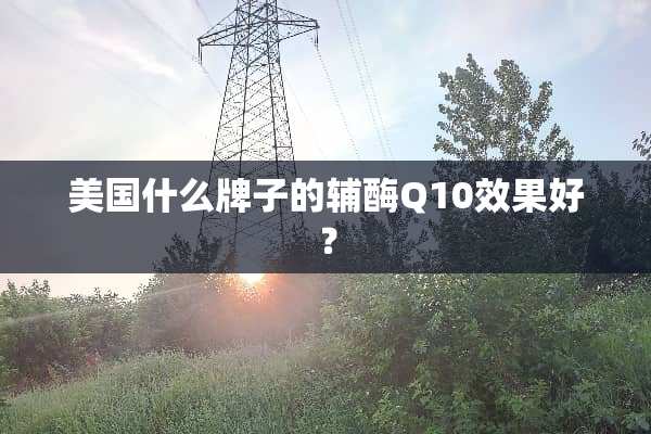 美国什么牌子的辅酶Q10效果好？