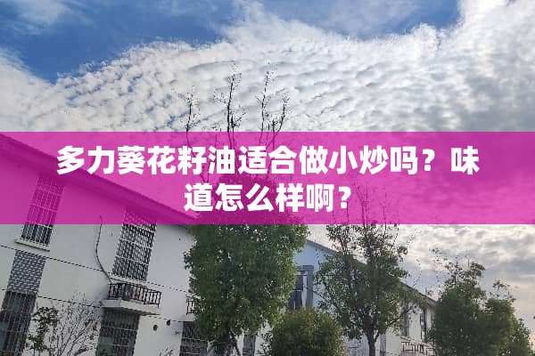 多力葵花籽油适合做小炒吗？味道怎么样啊？