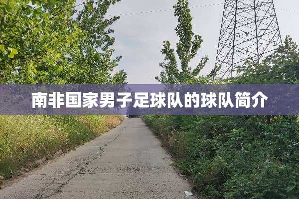南非国家男子**队的球队简介