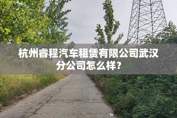 杭州睿程汽车租赁有限公司武汉分公司怎么样？