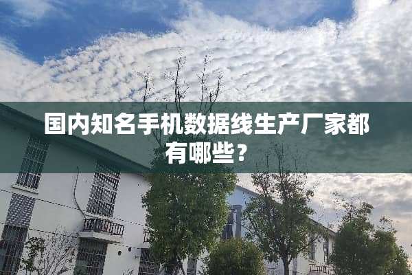 国内知名手机数据线生产厂家都有哪些？