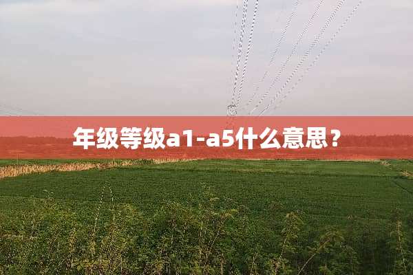 年级等级a1-a5什么意思？