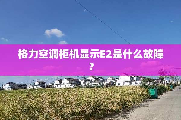 格力空调柜机显示E2是什么故障？