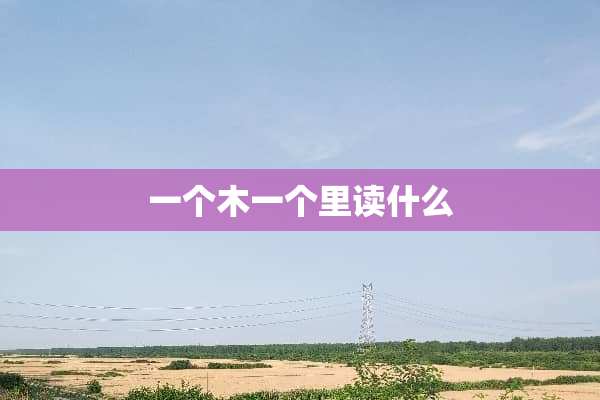 一个木一个里读什么