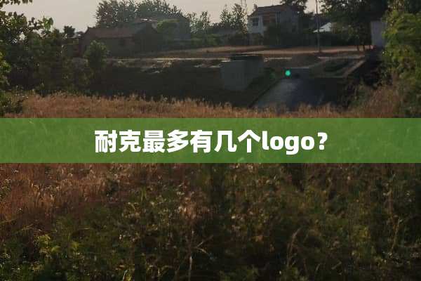 耐克最多有几个logo？