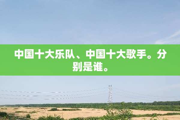 中国十大乐队、中国十大歌手。分别是谁。