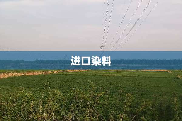 进口染料