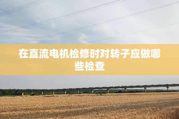 在直流电机检修时对转子应做哪些检查