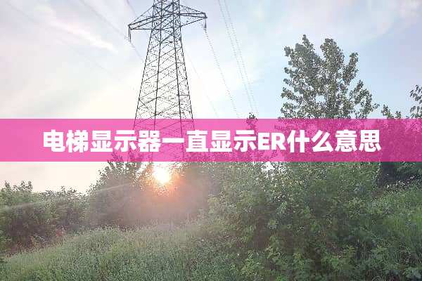 电梯显示器一直显示ER什么意思