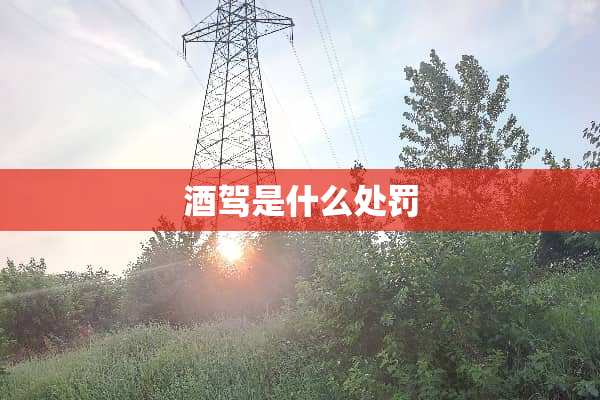 酒驾是什么处罚