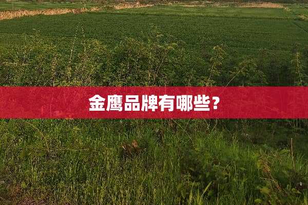 金鹰品牌有哪些？