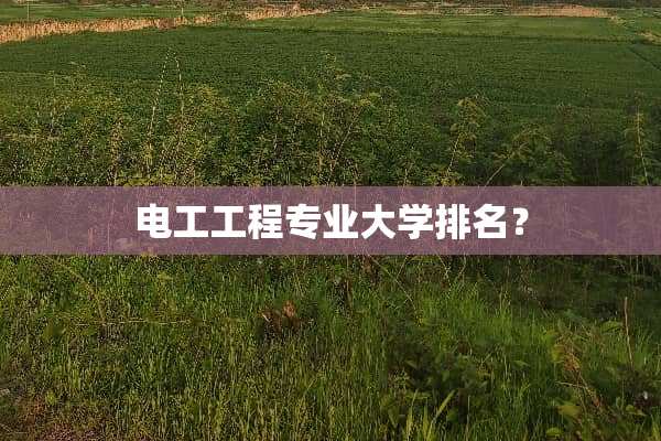 电工工程专业大学排名？