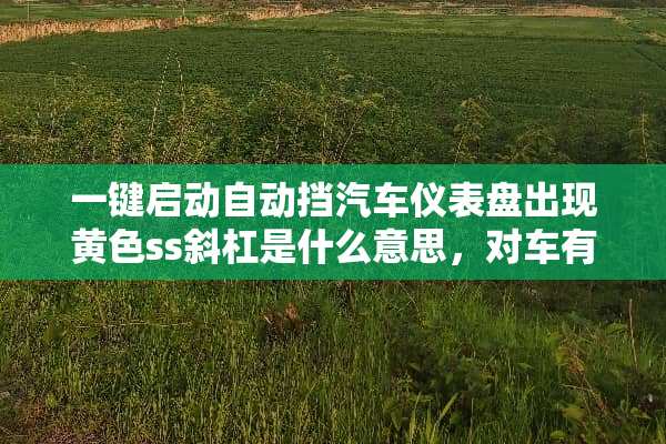 一键启动自动挡汽车仪表盘出现**ss斜杠是什么意思，对车有影响吗？如何消除？