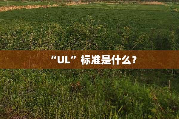 “UL”标准是什么？