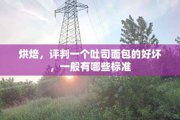烘焙，评判一个吐司面包的好坏，一般有哪些标准