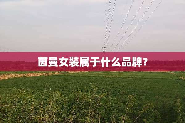茵曼女装属于什么品牌？