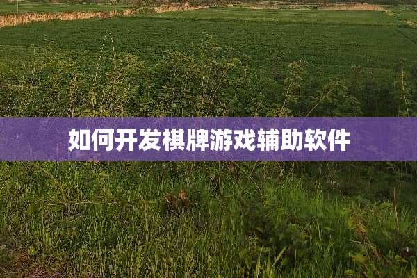 如何开发**游戏辅助软件