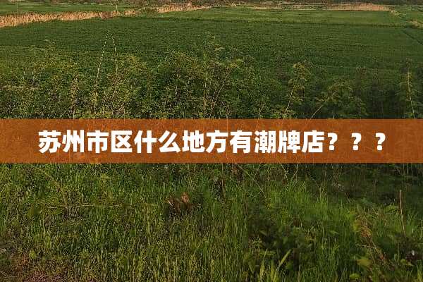 苏州市区什么地方有潮牌店？？？