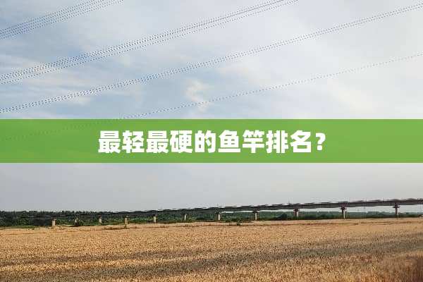 最轻最硬的鱼竿排名？