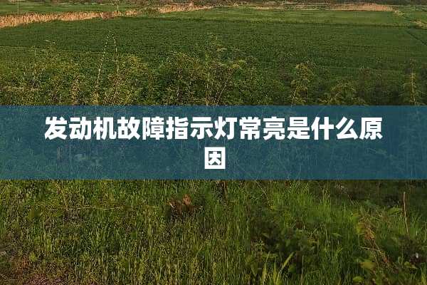 发动机故障指示灯常亮是什么原因