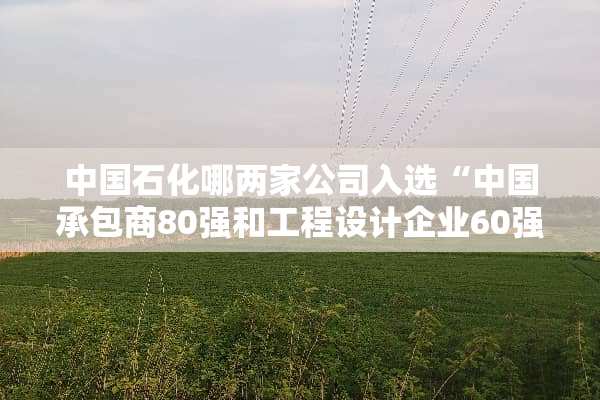 中国石化哪两家公司入选“中国承包商80强和工程设计企业60强”？