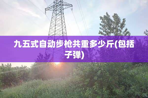 九五式自动步*共重多少斤(包括**)