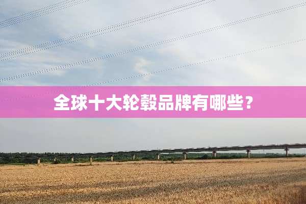 全球十大轮毂品牌有哪些？