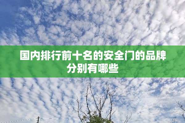 国内排行前十名的安全门的品牌分别有哪些