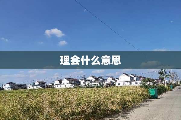 理会什么意思