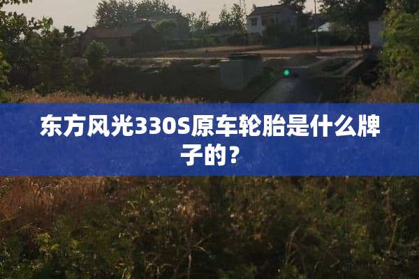 东方风光330S原车轮胎是什么牌子的？