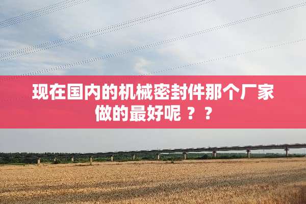 现在国内的机械密封件那个厂家做的最好呢 ？？