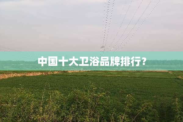 中国十大卫浴品牌排行？