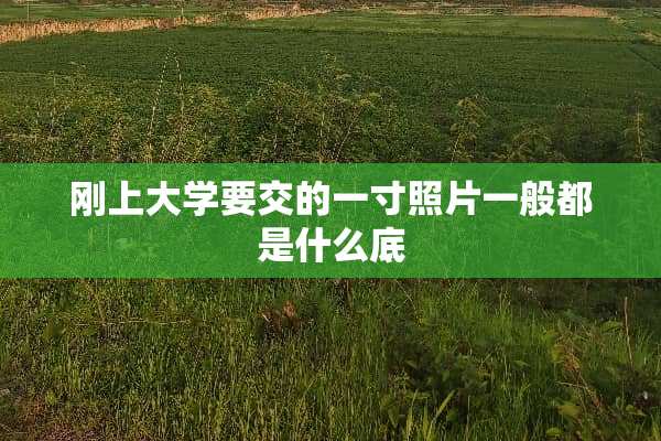 刚上大学要交的一寸照片一般都是什么底