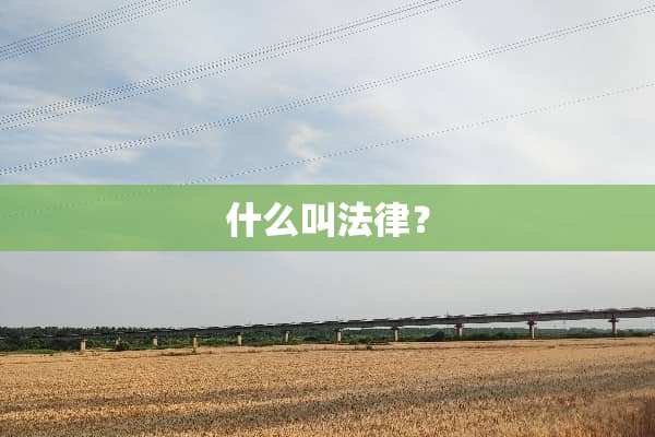 什么叫法律？