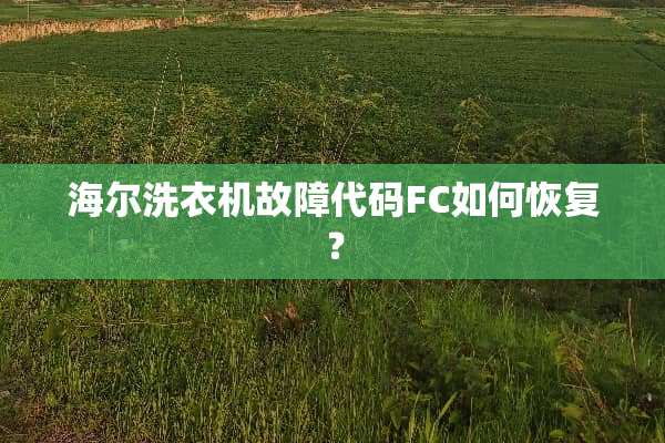 海尔洗衣机故障代码FC如何恢复？