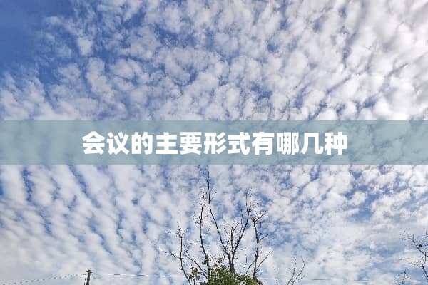 会议的主要形式有哪几种