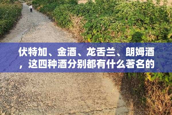 伏特加、金酒、龙舌兰、朗姆酒，这四种酒分别都有什么著名的品牌？