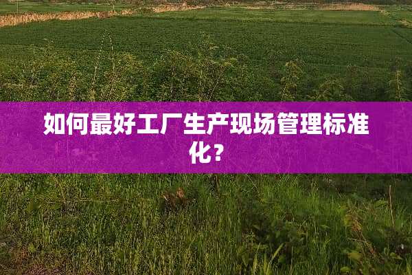 如何最好工厂生产现场管理标准化？