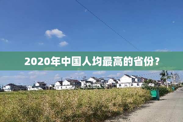 2020年中国人均最高的省份？