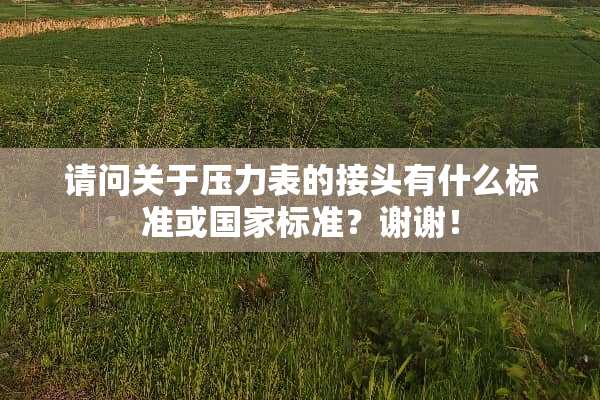 请问关于压力表的接头有什么标准或国家标准？谢谢！