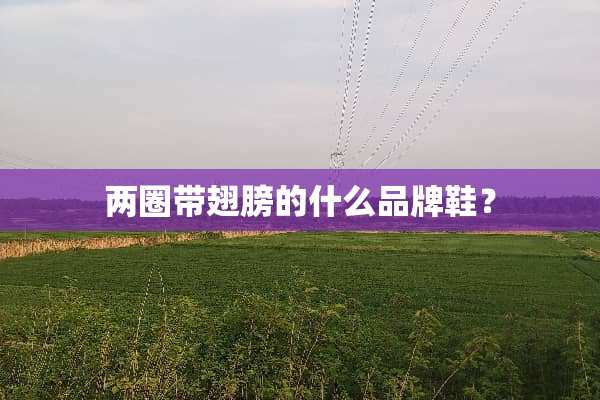 两圈带翅膀的什么品牌鞋？