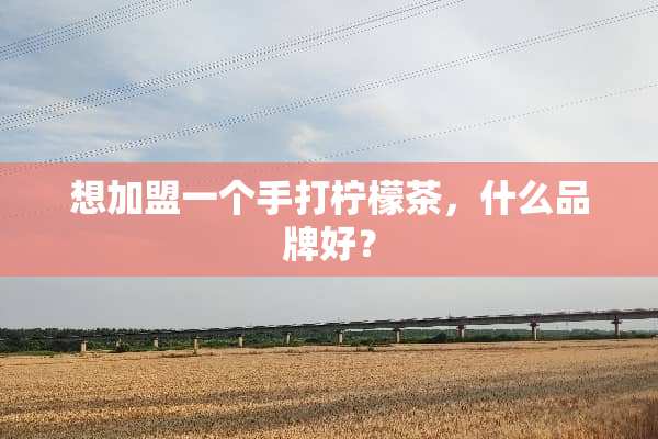 想加盟一个手打柠檬茶，什么品牌好？