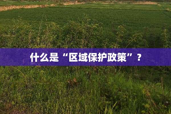 什么是“区域保护政策”？