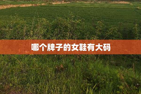哪个牌子的女鞋有大码
