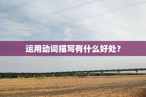 运用动词描写有什么好处？