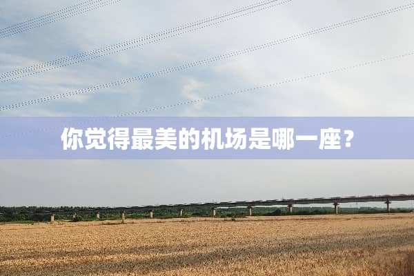 你觉得最美的机场是哪一座？