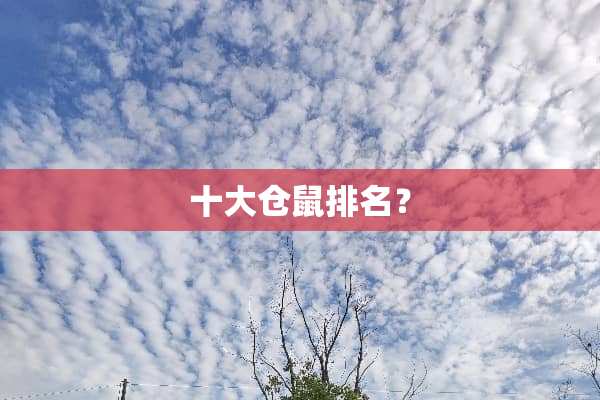 十大仓鼠排名？