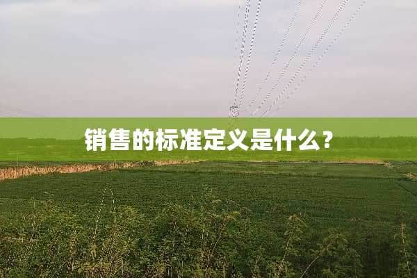 销售的标准定义是什么？
