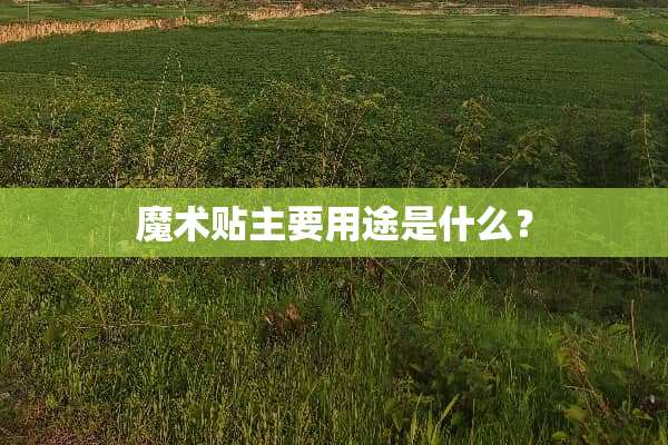 魔术贴主要用途是什么？